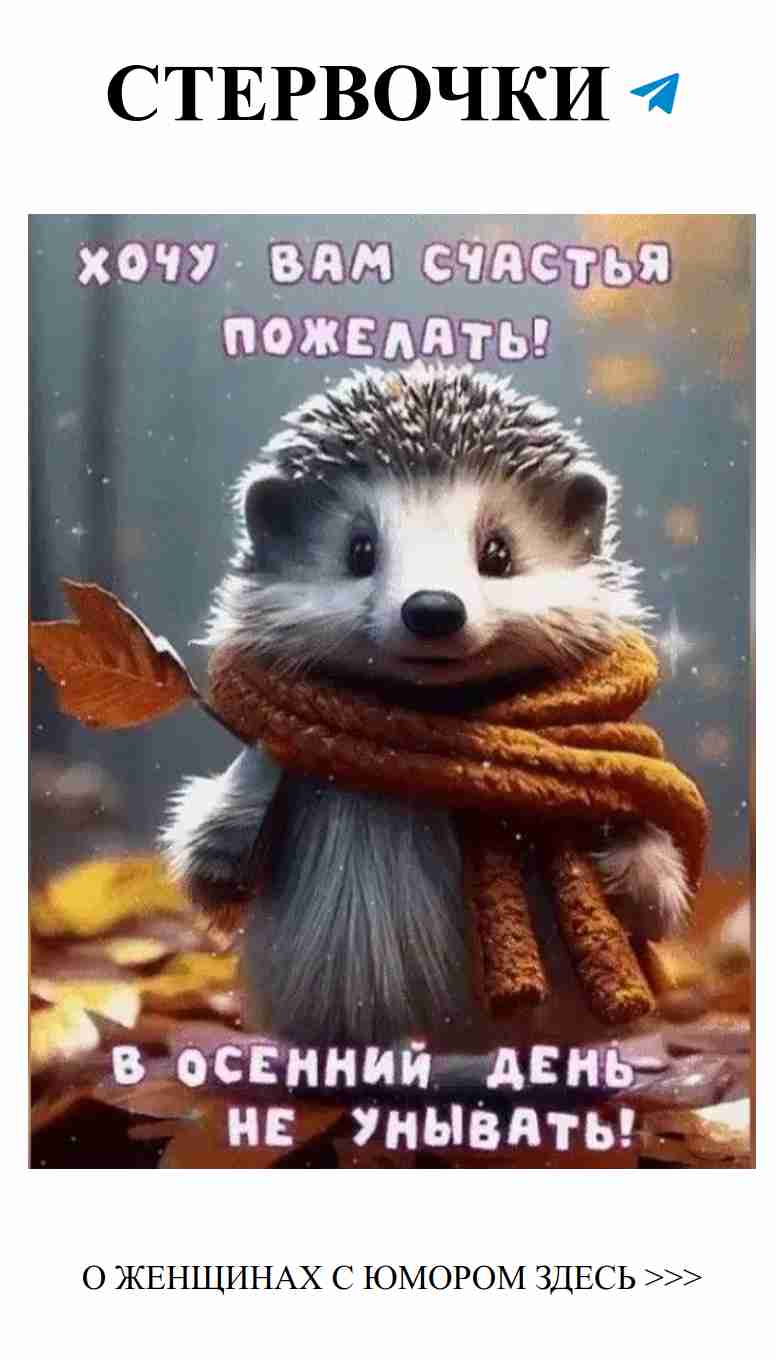 Утро счастья: даже ёжики знают, как быть недовольными