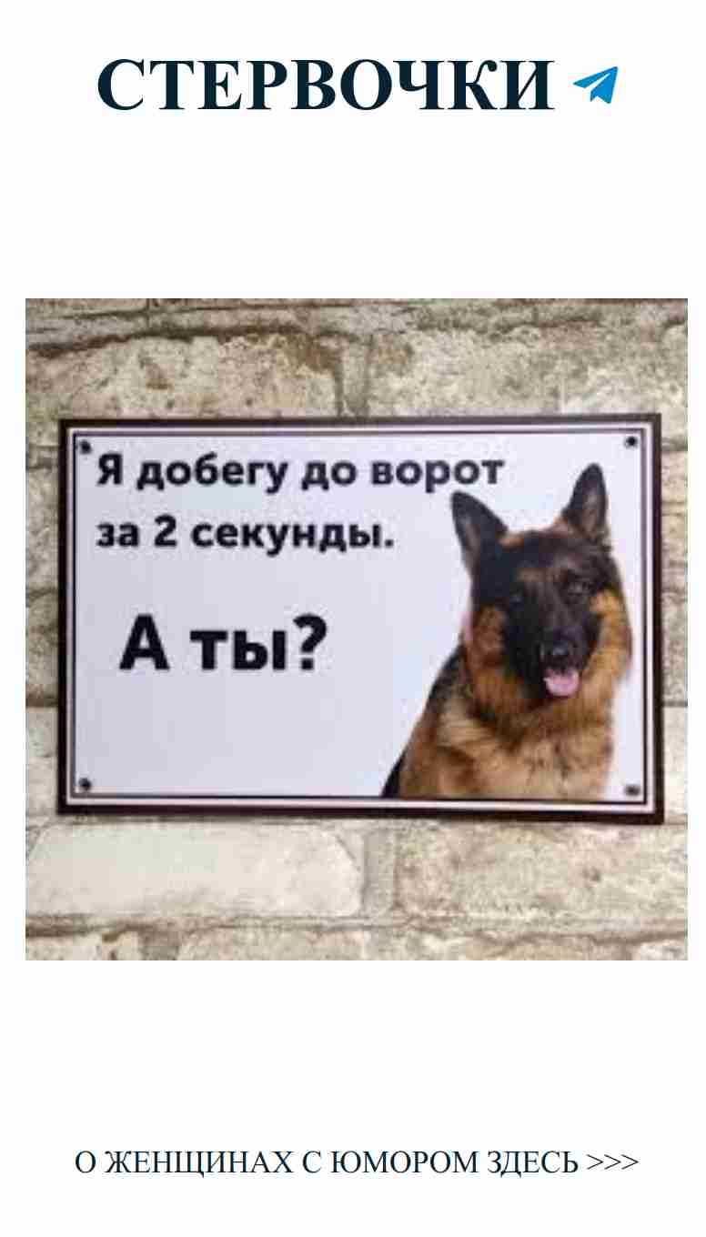 Когда твоя любовь напоминает немецкую овчарку