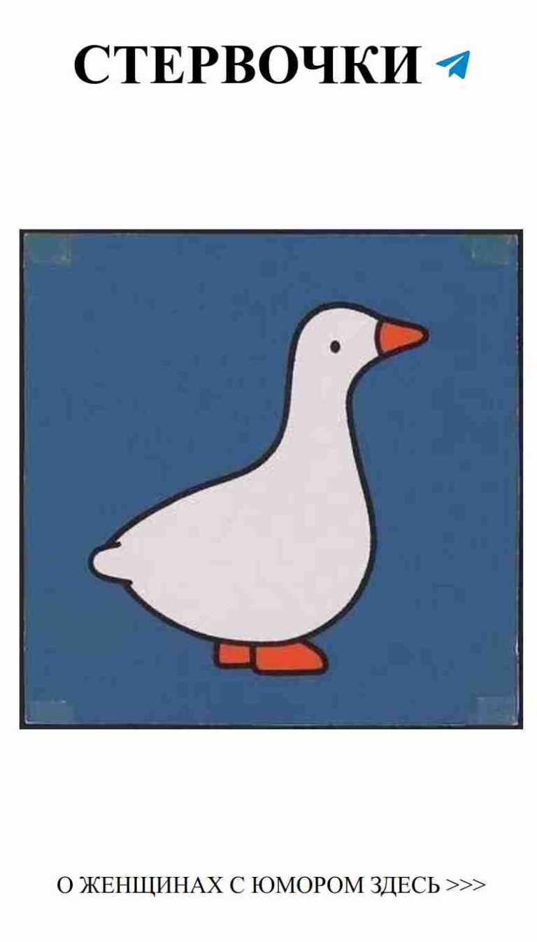 Смех и любовь: лучшие моменты из нашей жизни