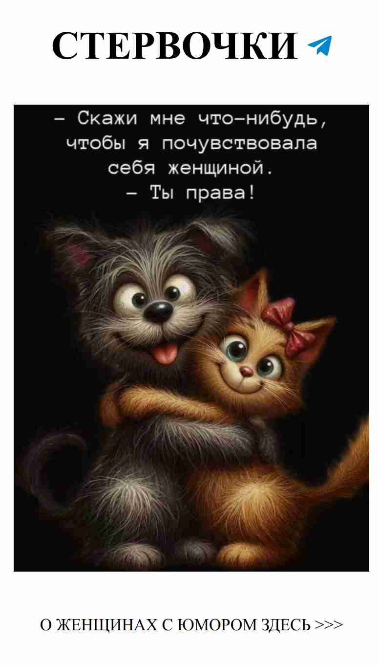 Коты, собака и любовь: смех и радость в жизни