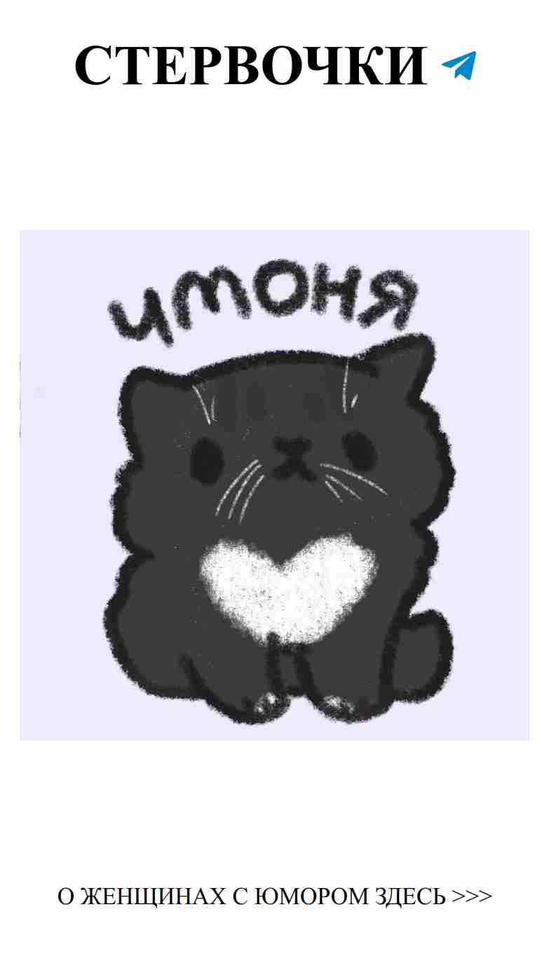 Милый черный котик с забавным сообщением о любви