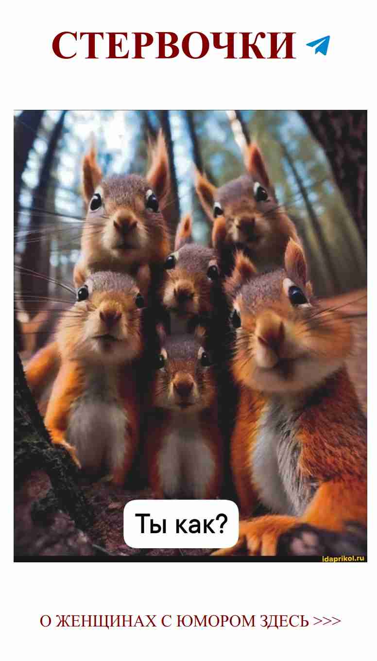 Смешные наряды для лучших подруг в лесу