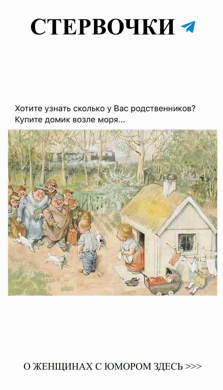 Любовь, смех и пушистые хвостики на солнечной поляне