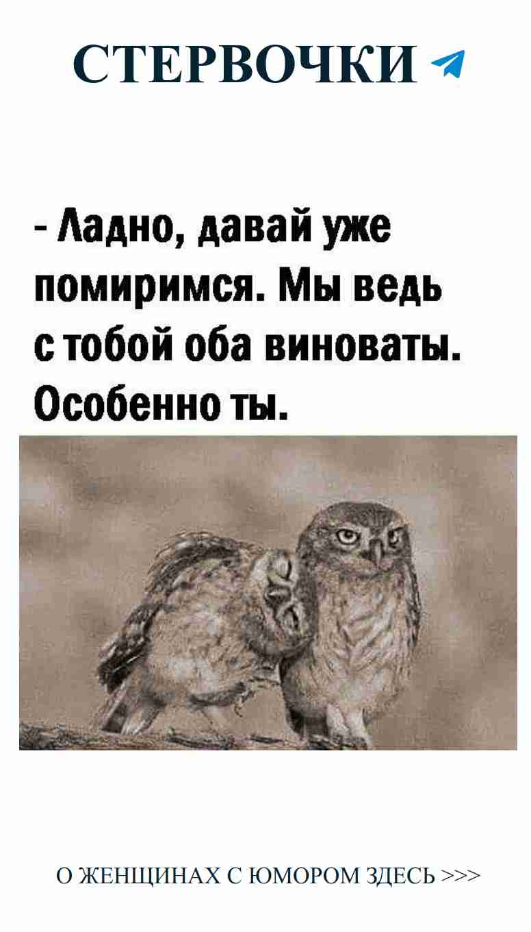 Когда два совы нашли свою любовь на дереве