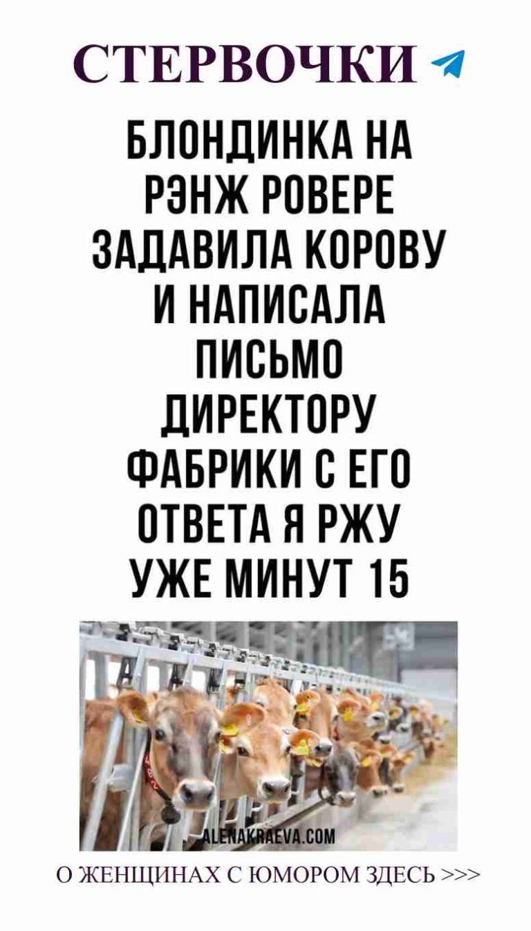 Коровы в очереди: забавные цитаты и шутки о любви