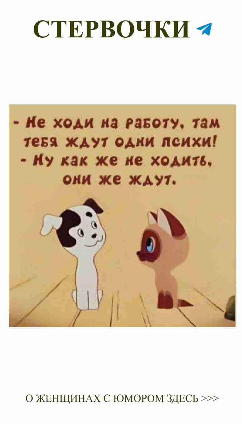 Утренняя весёлость: два забавных пса и любовь