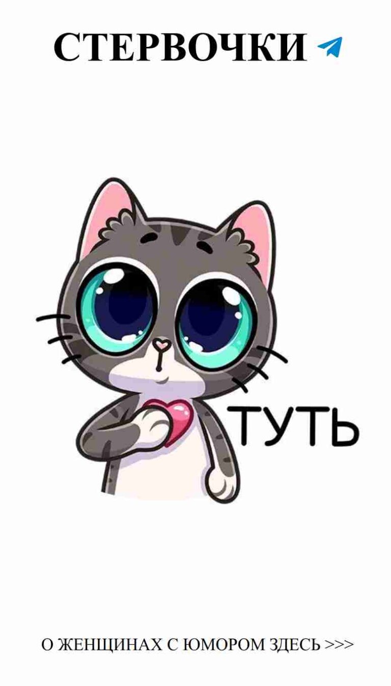 Улыбка на лице: кот и любовь в одном бокале