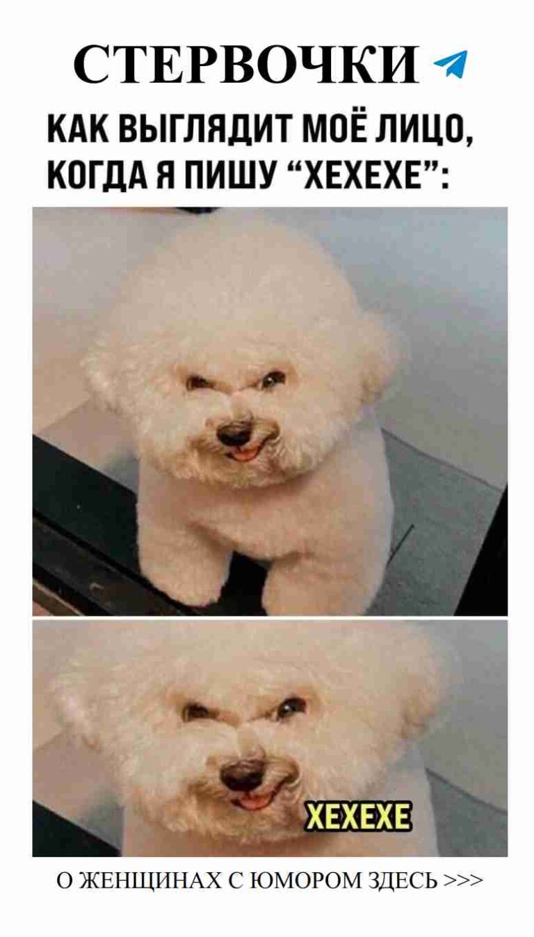 Смех и любовь: как найти своего идеального партнёра