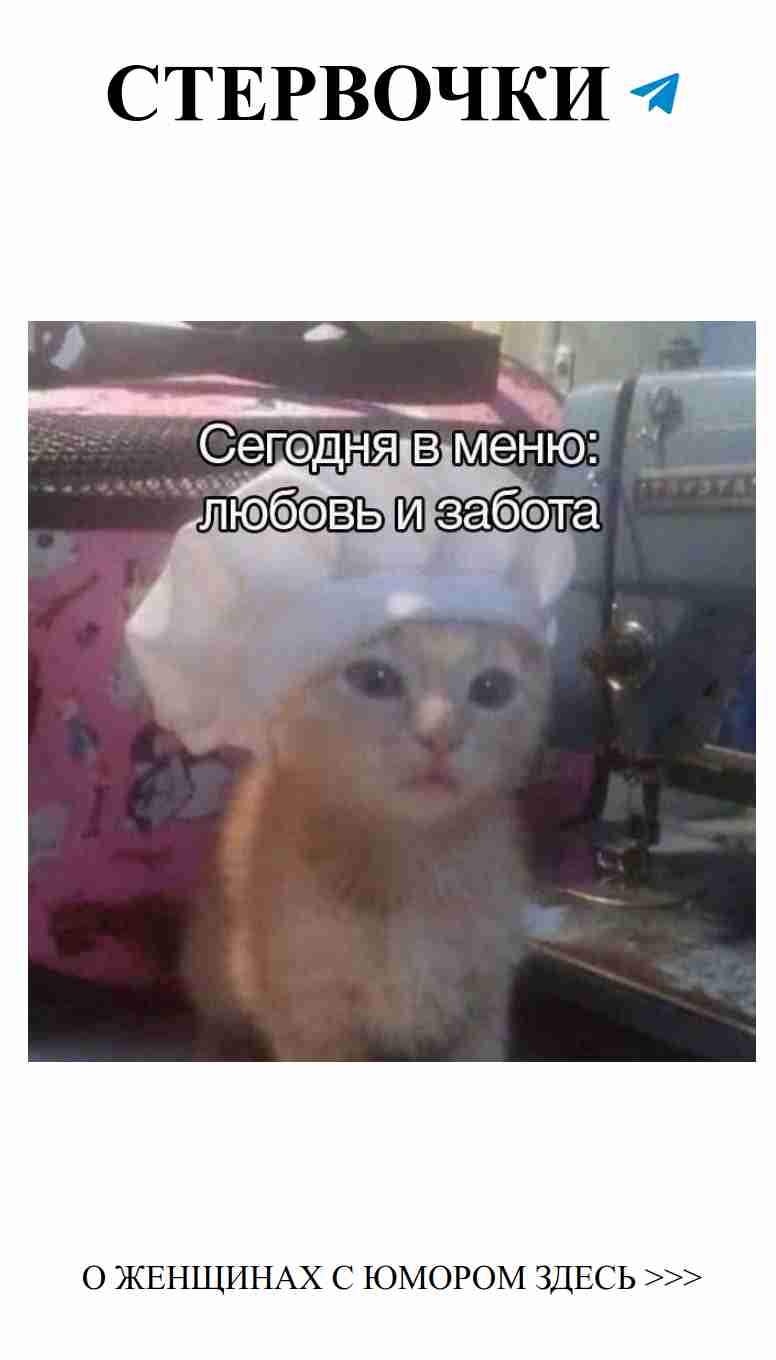 Любовь и кошки: забавные моменты с пушистиками