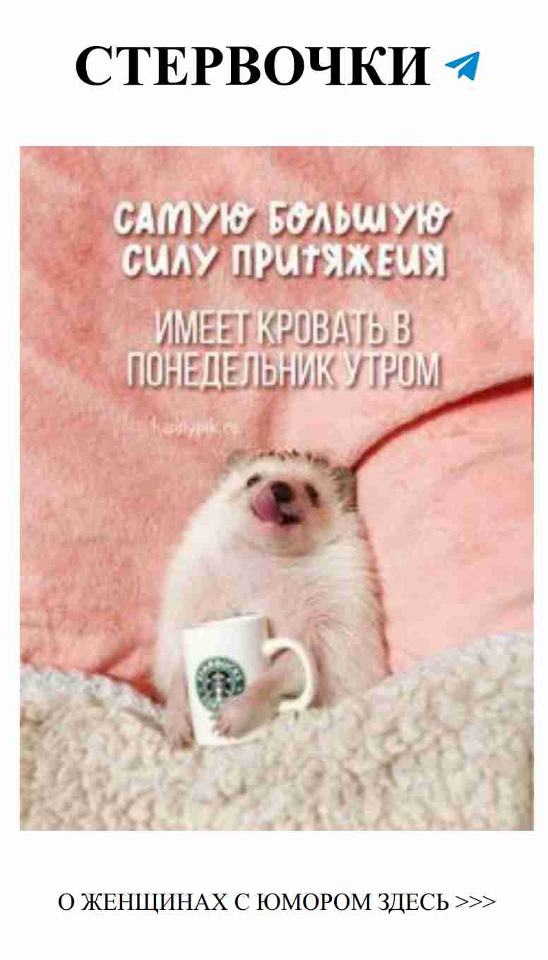 Когда ты задался вопросом, кто из нас здесь главный хомяк