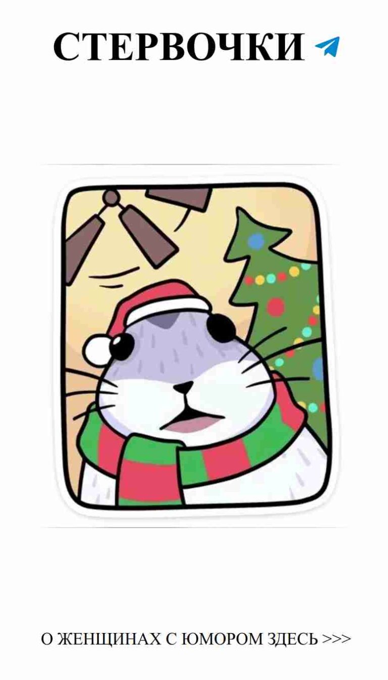 Любовь, смех и женский юмор: вместе веселее