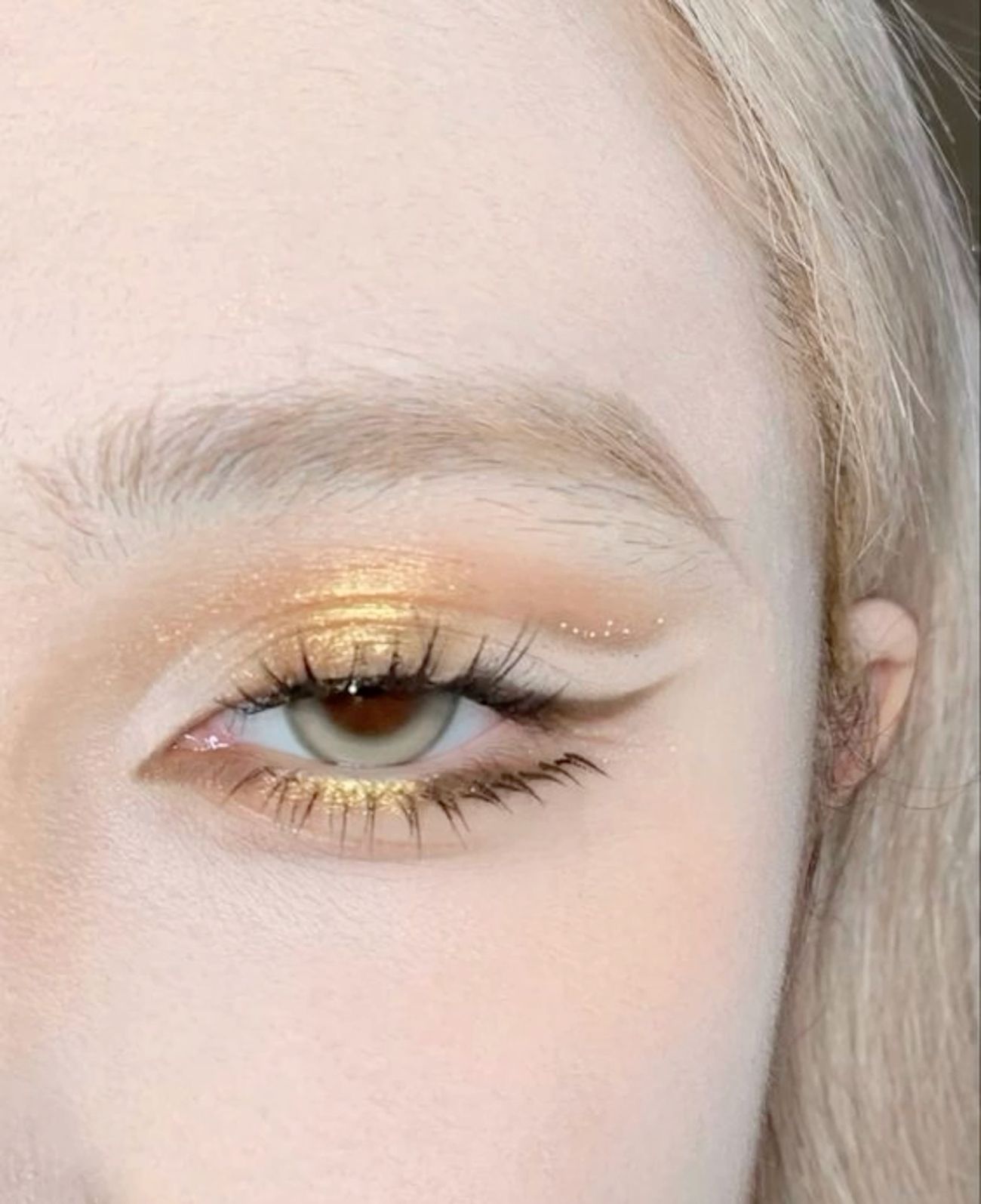 𖤐 𝚆𝚇𝙻𝙵𝚂𝙱𝙰𝙽𝙴 𖤐