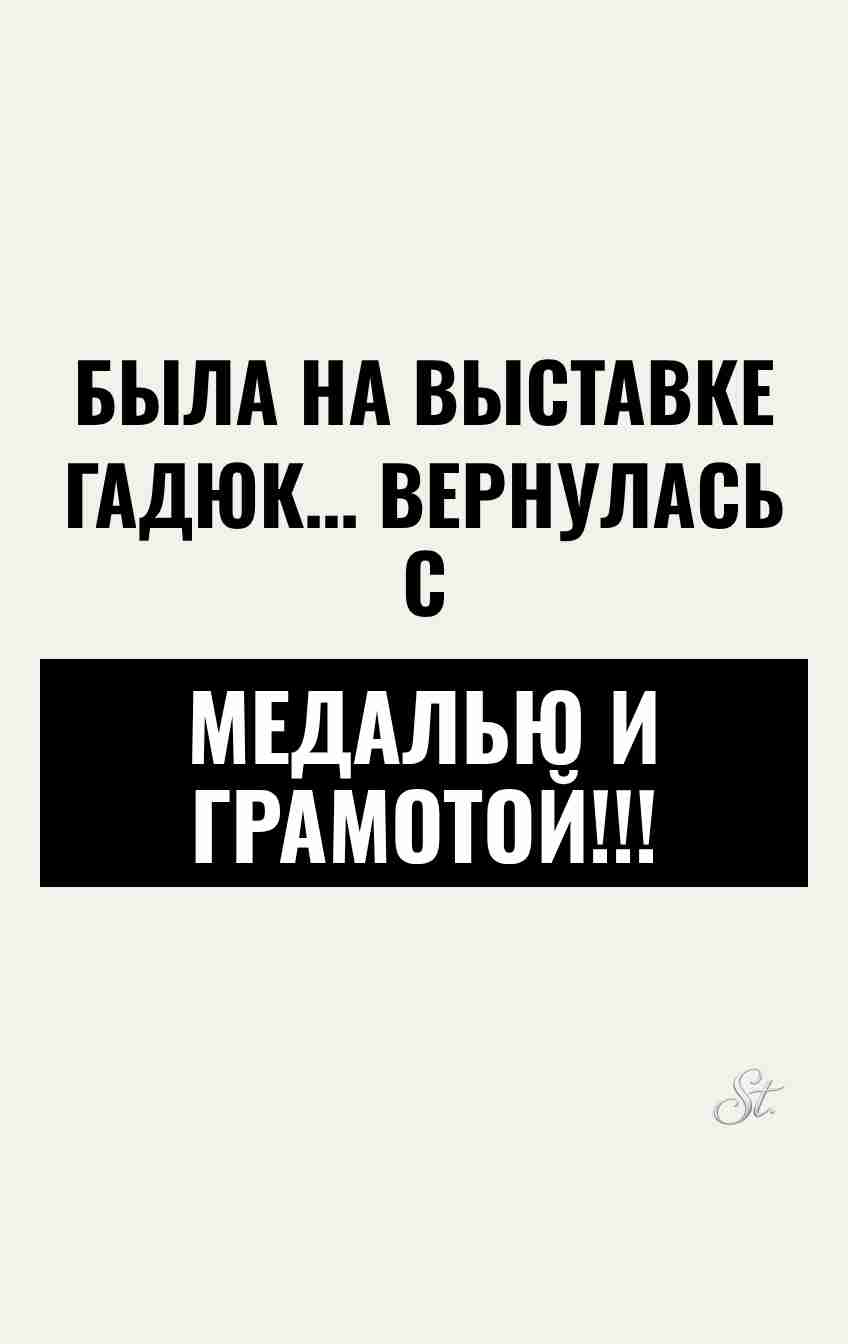 Смешные цитаты о женской логике и сарказме
