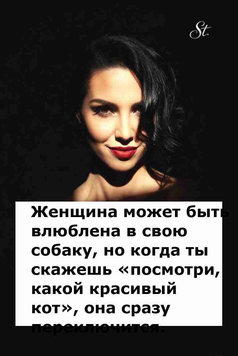 Женская логика в отношениях с мужчинами и собаками Женская логика в отношениях с мужчинами и собаками